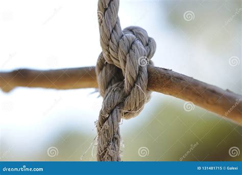 Knot of torn old rope stock image. Image of border, pattern - 131481715