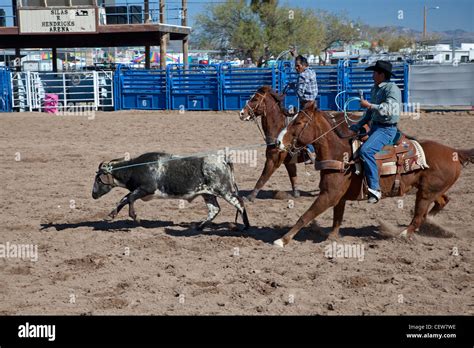 Team roping hi-res stock photography and images - Alamy