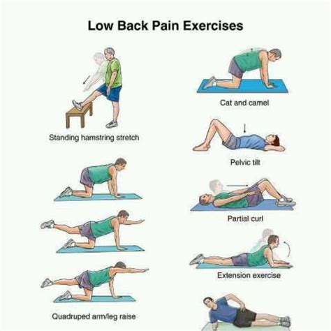 Back Strengthening Exercises: Lower Back Strengthening Exercises Pdf