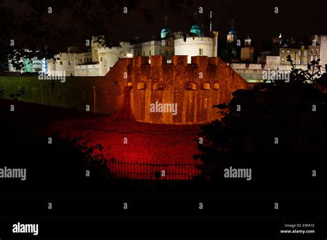 Tower of London Poppies Remembrance display Night Stock Photo - Alamy