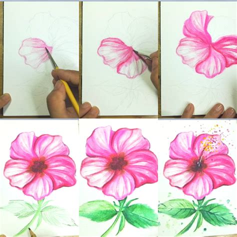 How to draw Watercolor and Water-soluble color pencil Hibiscus flower step by step tutorial for ...