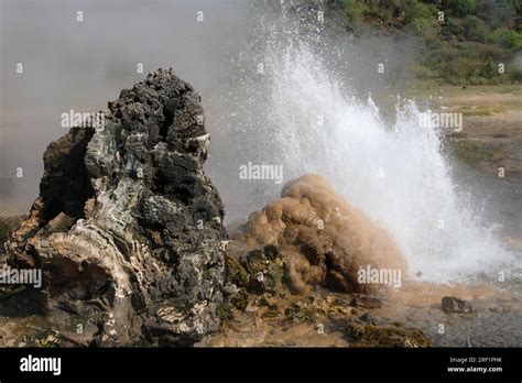 Hot Springs and Geysers at Lake Bogoria in Kenya Stock Photo - Alamy