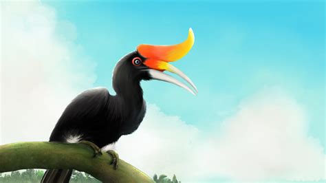 burung enggang in english - Hornbill The National of Gaban-Nation ...