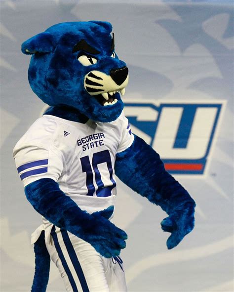 College football mascots: The cats