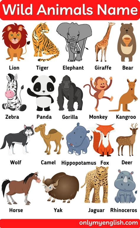 wild animals names in english and spanish