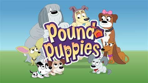 The Best Kid Shows on Netflix | Pound puppies cartoon, Pound puppies, Puppies