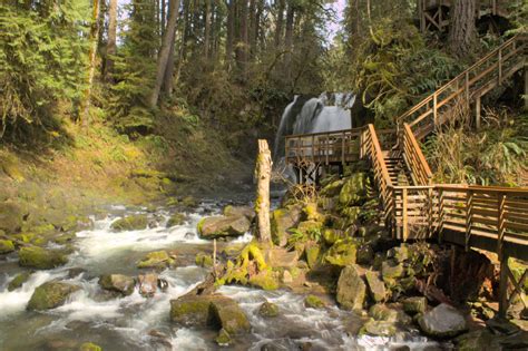 Hike to the Extraordinary Waterfalls of McDowell Creek Falls County ...