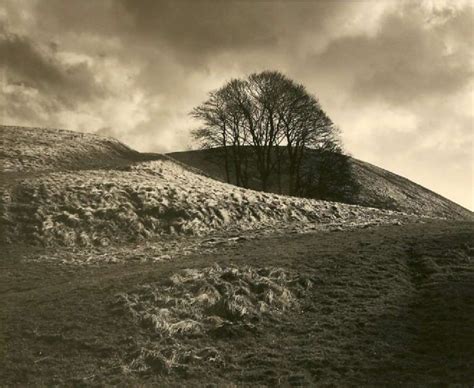 Clump In Hollow, Summerhouse Hill by Fay Godwin | Best landscape photography, Fine art landscape ...