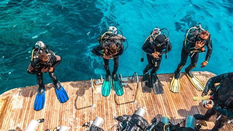 Types of Diving You Need to Know About – Boat in the Bay Blog