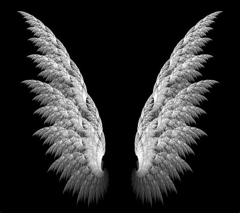 Angel Wings, angel, angels, black, fairies, wing, wings, HD wallpaper ...