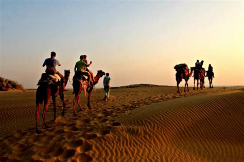 Camping in Thar Desert - A Night Under The Stars in Jaisalmer