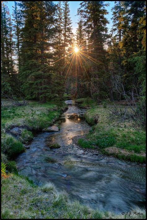 Mt Baldy Wilderness, Apache National Forest, White Mountains, Arizona. (Photo by E. J. Peiker ...