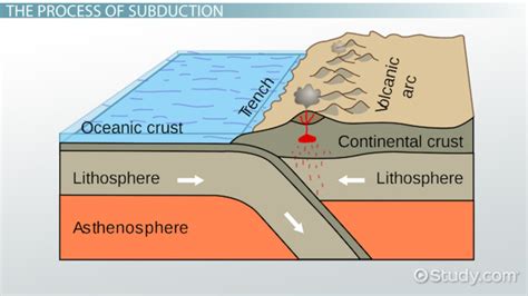 Ocean-continental convergence Diagram | Quizlet