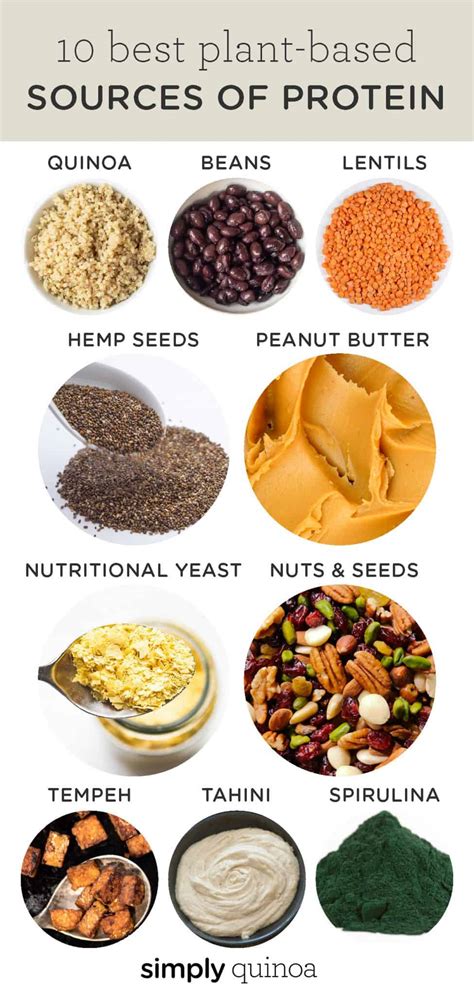 10 Best Sources of Plant-Based Protein - Simply Quinoa