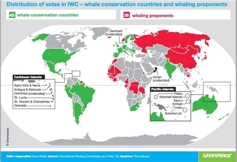 Countries Slam Japan’s Plans To Resume Whaling In A Whale Sanctuary