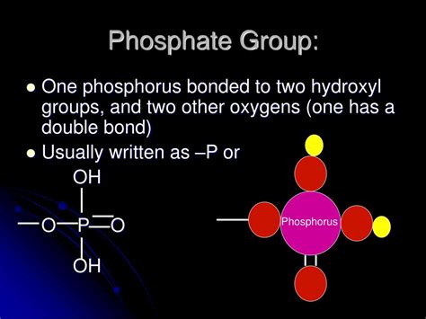 Phosphate Group