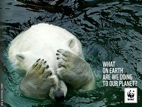 33 campagnes pour la protection des animaux criantes d'une vérité qui dérange | Polar bear ...