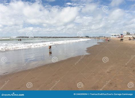 Mar Del Plata Beaches , and Tourists in Summer Editorial Stock Image ...