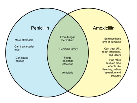 Difference Between Penicillin and Amoxicillin – WHYUNLIKE.COM