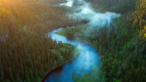 Aerial View Of Forest And River Landscape HD Nature Wallpapers | HD ...