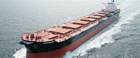 Freight Rates for Bulk Carriers May Triple as Fleet Expansion Slows - gCaptain