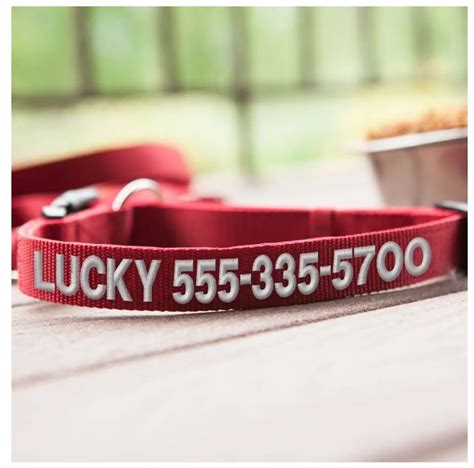 Personalized Dog Collars Only $8.99! - Become a Coupon Queen