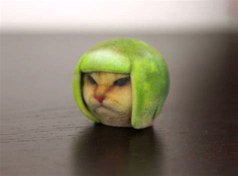 Lime Cat internet meme (UZ5LXJY46) by kipiripi