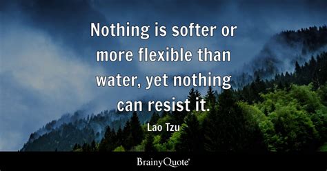 Lao Tzu - Nothing is softer or more flexible than water...