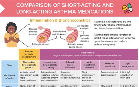 SABA vs LABA Drugs [+ Free Cheat Sheet] | Lecturio Nursing