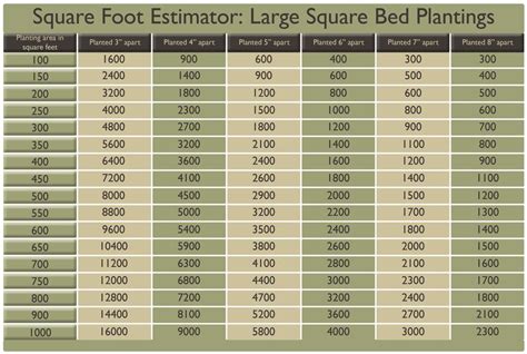 Square Feet Conversion - Brown Shemale