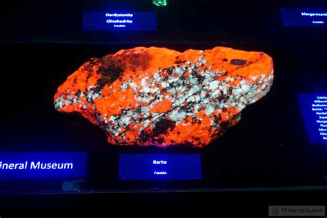 Minerals.net | Mineral News | The 2016 NY/NJ Show - Fluorescent Minerals