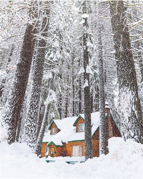 Beautiful cabin in Lake Tahoe, California 🇺🇸 | Cabins in the woods ...