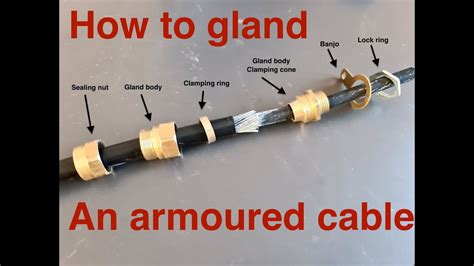 Swa Gland Pack Chart | edu.svet.gob.gt