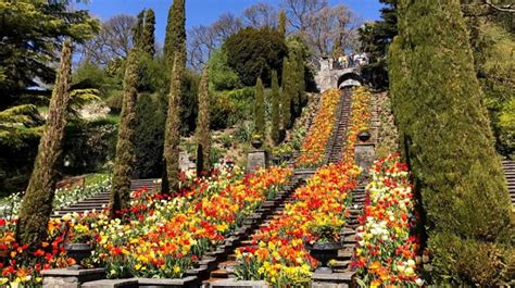 Mainau Island: Explore tropical world with colourful butterflies and ...