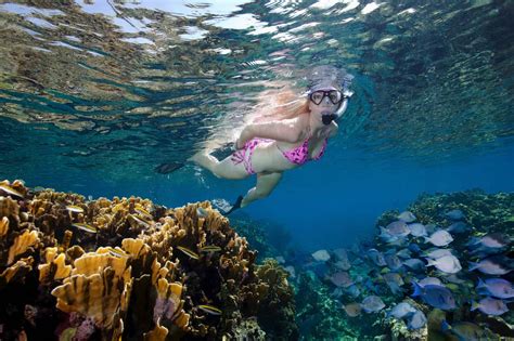 Belize Snorkeling Resorts | Snorkeling Vacations | Reef Packages