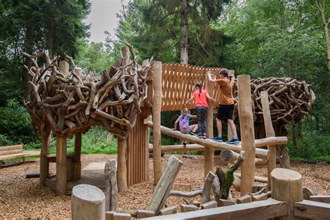 Enchanting children’s play trails officially opened at Gosford Forest ...