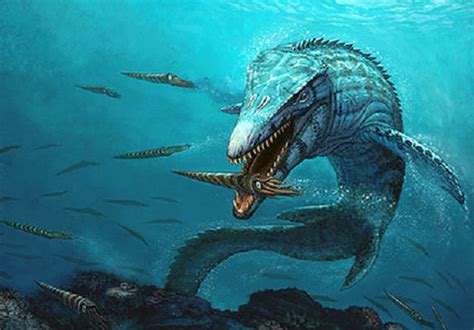 Mosasaurus - Dinosaurs Photo (22051800) - Fanpop