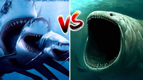 Megalodon Vs Bloop बताओ कौन जीतेगा | Who Will Win ? - YouTube