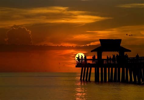 naples florida | Naples florida, Naples pier, Florida