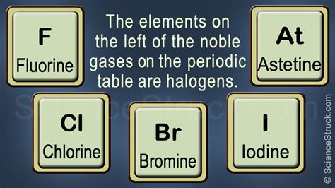 Halogen Family - Science Struck