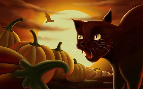 Black Cat & Halloween Pumpkins Wallpapers - HD Wallpapers 16602