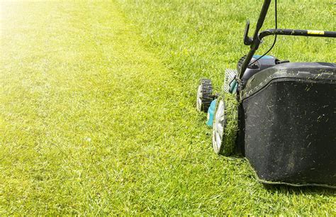 Tips on the right height to mow your lawn for your type of grass