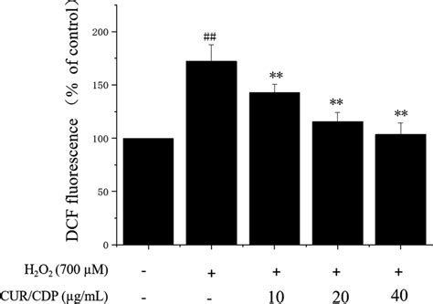 Effect of curcumin/cyclodextrin polymer (CUR/CDP) pretreatment on... | Download Scientific Diagram