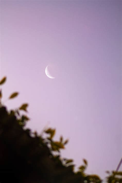 Download Purple Pastel Aesthetic Crescent Moon Wallpaper | Wallpapers.com