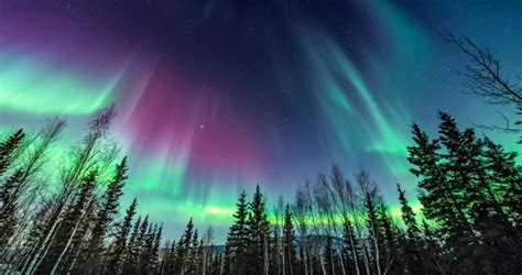 21 Best Places to See the Northern Lights in Alaska