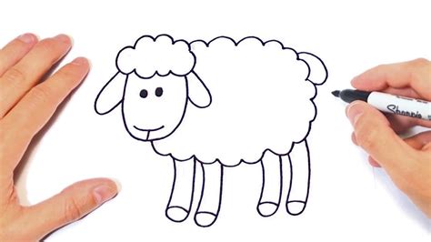 How to draw a Sheep Step by Step | Sheep Drawing Lesson | Ovejas para dibujar, Drawing lessons ...