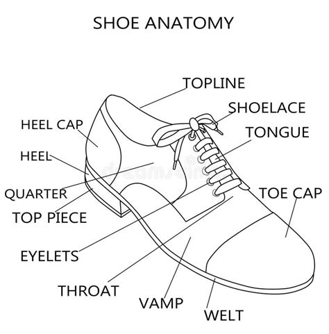 Details 131+ shoe anatomy super hot - kenmei.edu.vn