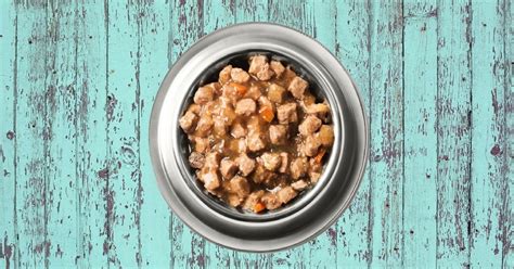 Top 10 Best Wet Dog Food Brands for 2018 - The Dog Digest - Page 10