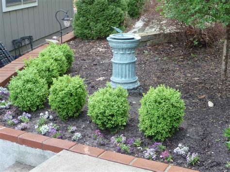 Dwarf shrubs are an excellent choice when you are landscaping your garden. Dwarf shrubs are ...