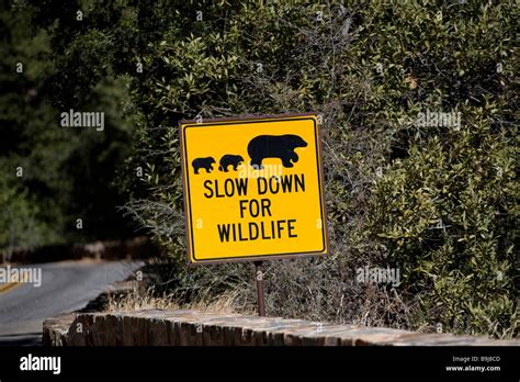 "Slow down for wildlife", warning sign wildlife crossing, Sequoia ...